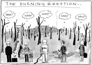 The Burning Question, Fiona Katauskas