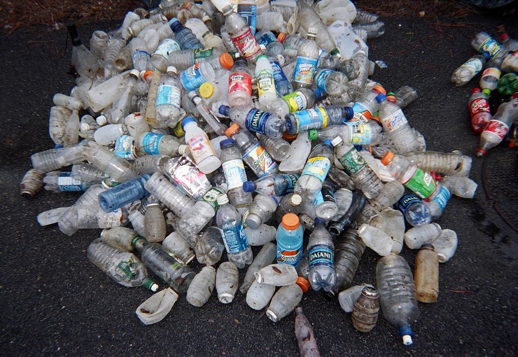 Beverage Containers Collected During Charles River Cleanup