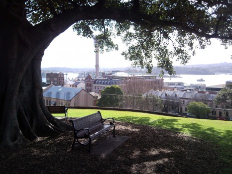 Millers Point From Observatory Hill, Sydney