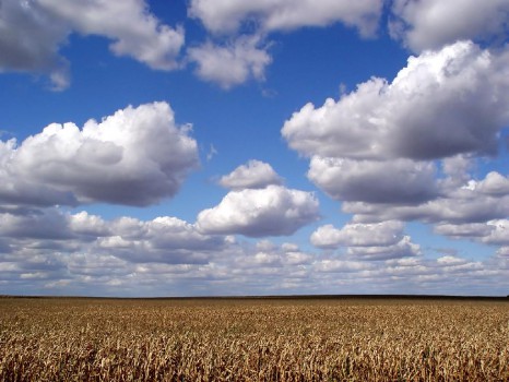 Clouds and Corn