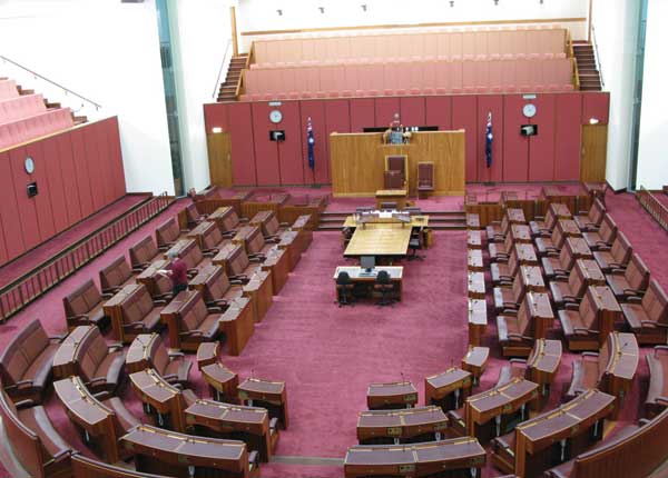 Staff cuts and software glitches hamper Senate’s operations