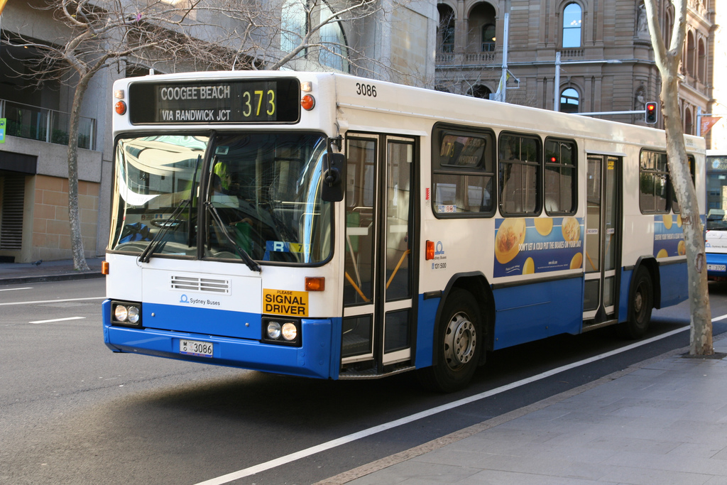 Bus 373