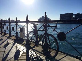 Livelo bike harbour_opt
