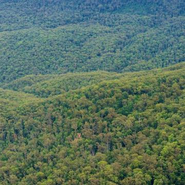 Concern for council powers in EPA shake-up