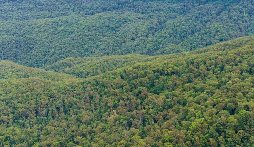Concern for council powers in EPA shake-up