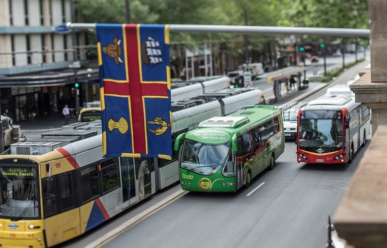 Councils can lead on sustainable transport: report