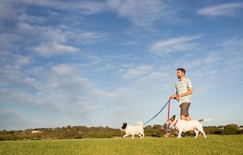 Councils ‘punch above their weight’ on health