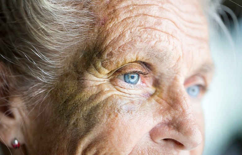 Queensland elder abuse line receives 1,900 calls