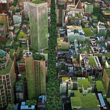 Urban forests: Melbourne’s plan to green the city