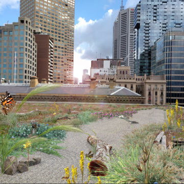 Melbourne marches ahead with green sky vision