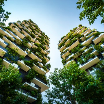 Vision for greener cities by 2020