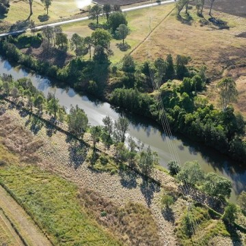 Councils collaborate in mass tree planting
