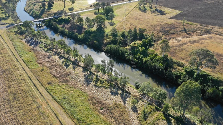 Councils collaborate in mass tree planting