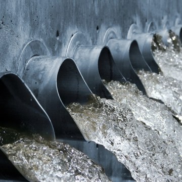 Sewage-munching bugs save council $400k