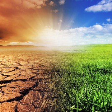 Heated debate as climate emergency motion scrapes through