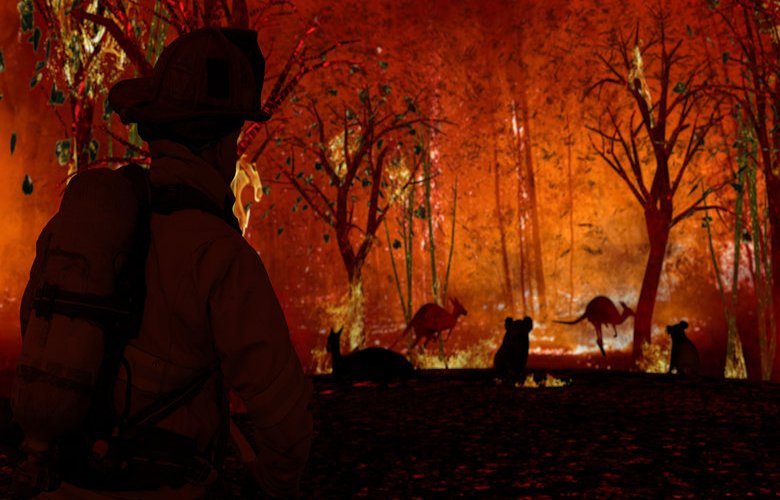 Bushfire report omission disappoints councils