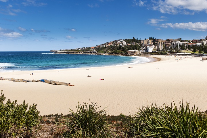 Technology to solve parking snarl at Sydney beach