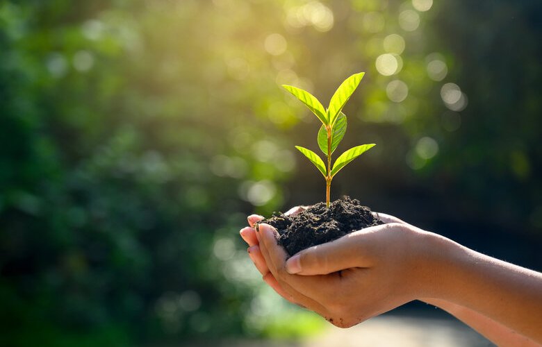 Awards celebrate council-led environmental initiatives