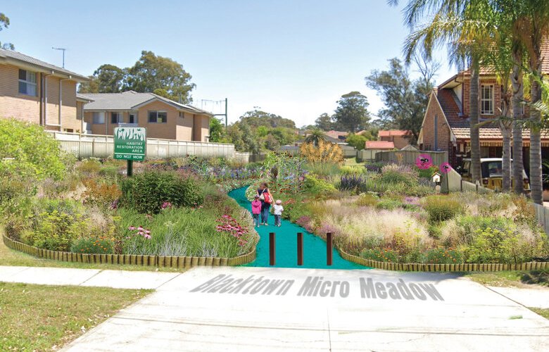 Micro meadows bring life to unused urban space