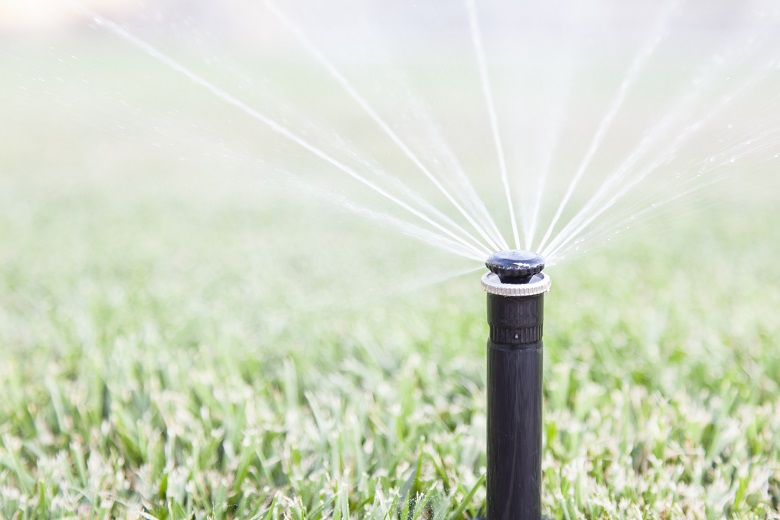 WA councils are being offered a fully subsidised irrigation training program to upskill local government staff in efficient water use.