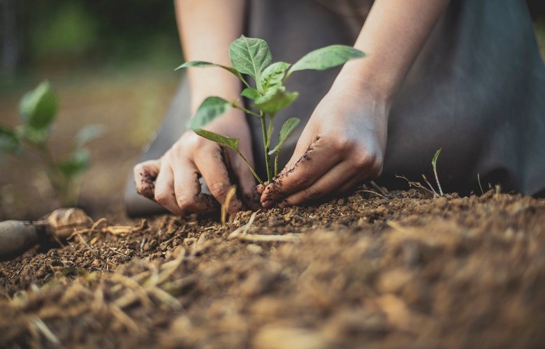 Wollongong City Council takes out top environment award