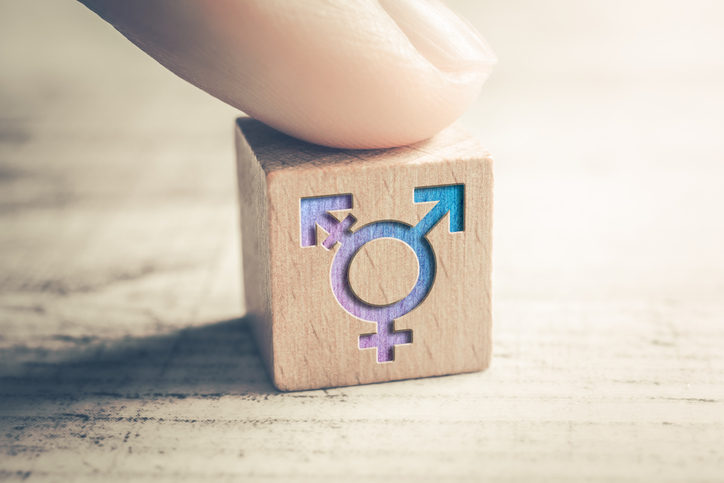 Gender ID bill ‘madness’, committee hears