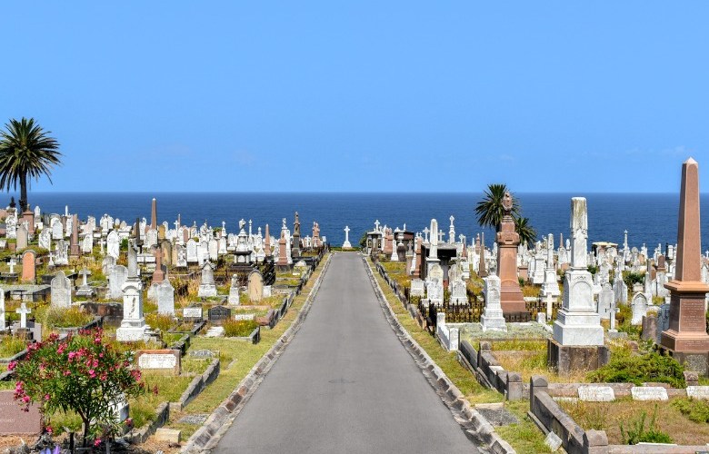 Former Property Council CEO appointed in cemeteries amalgamation