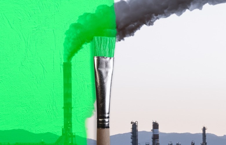Public sector needs to rise above the greenwashing