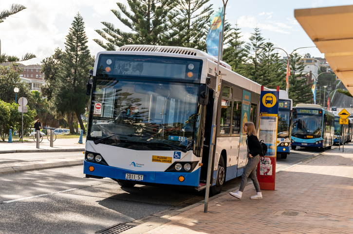 Report shies away from recommending seatbelts on all buses