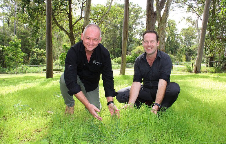 Council trials mulch made from recycled cotton