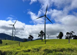 Queenslanders want more renewables: survey