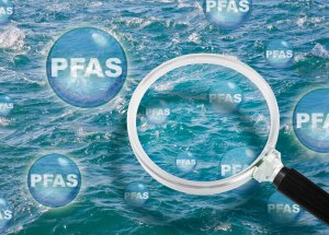 Committee established to probe ‘forever chemicals’ in environment, consumer goods