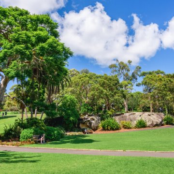 Cooling ability of trees during heatwaves overestimated