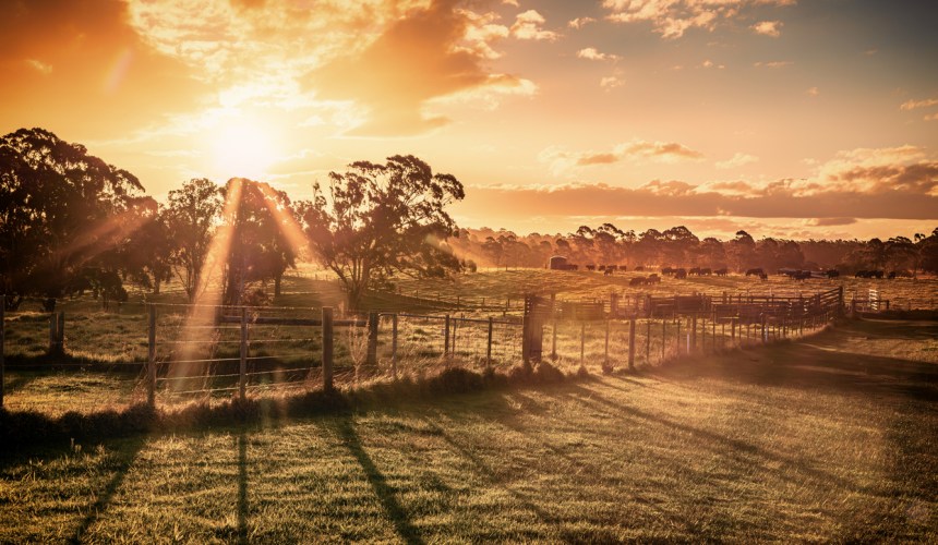 New chair of Victoria’s regional development committee