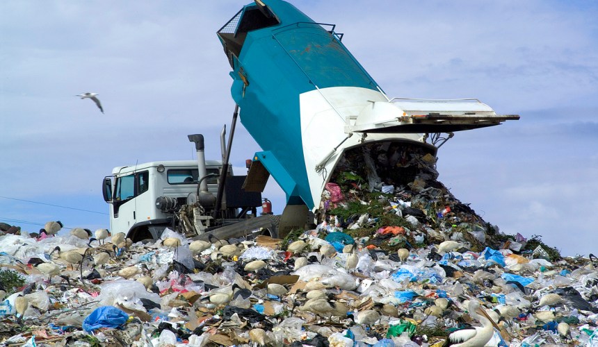 Federal government slammed for inaction on waste